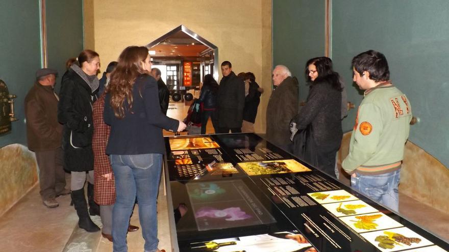 Visitantes en el Museo del Vino Pagos del Rey. | L. G. (Archivo)