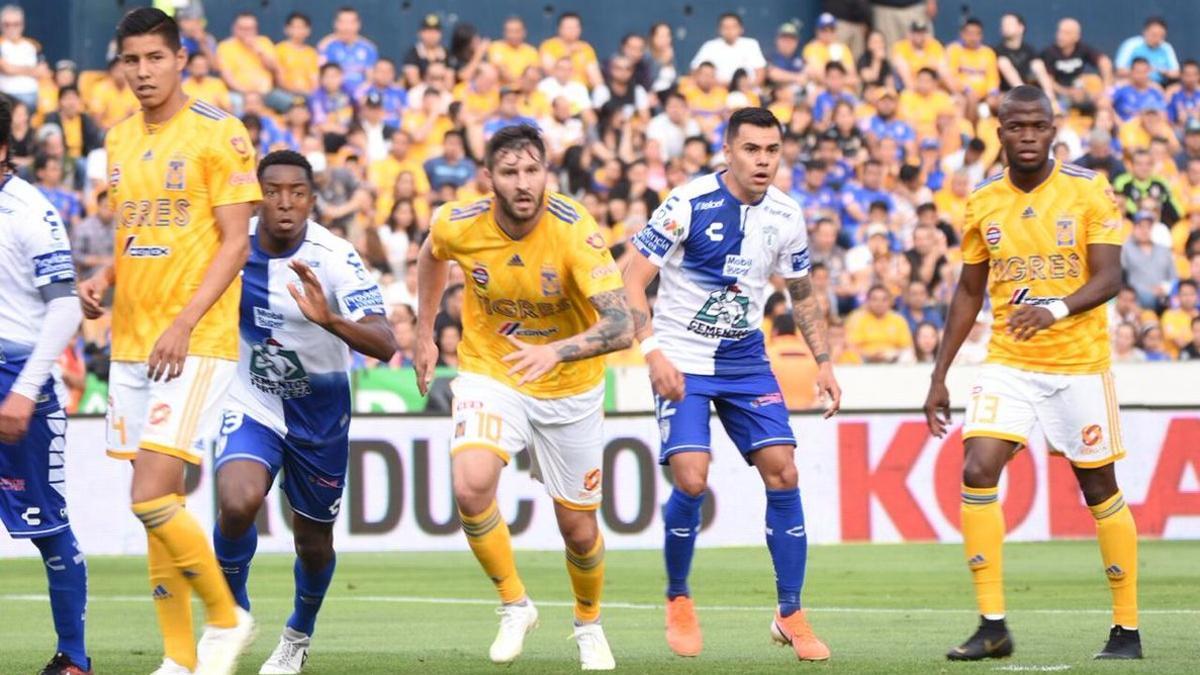 Tigres finalizó con 37 puntos el Clausura 2019