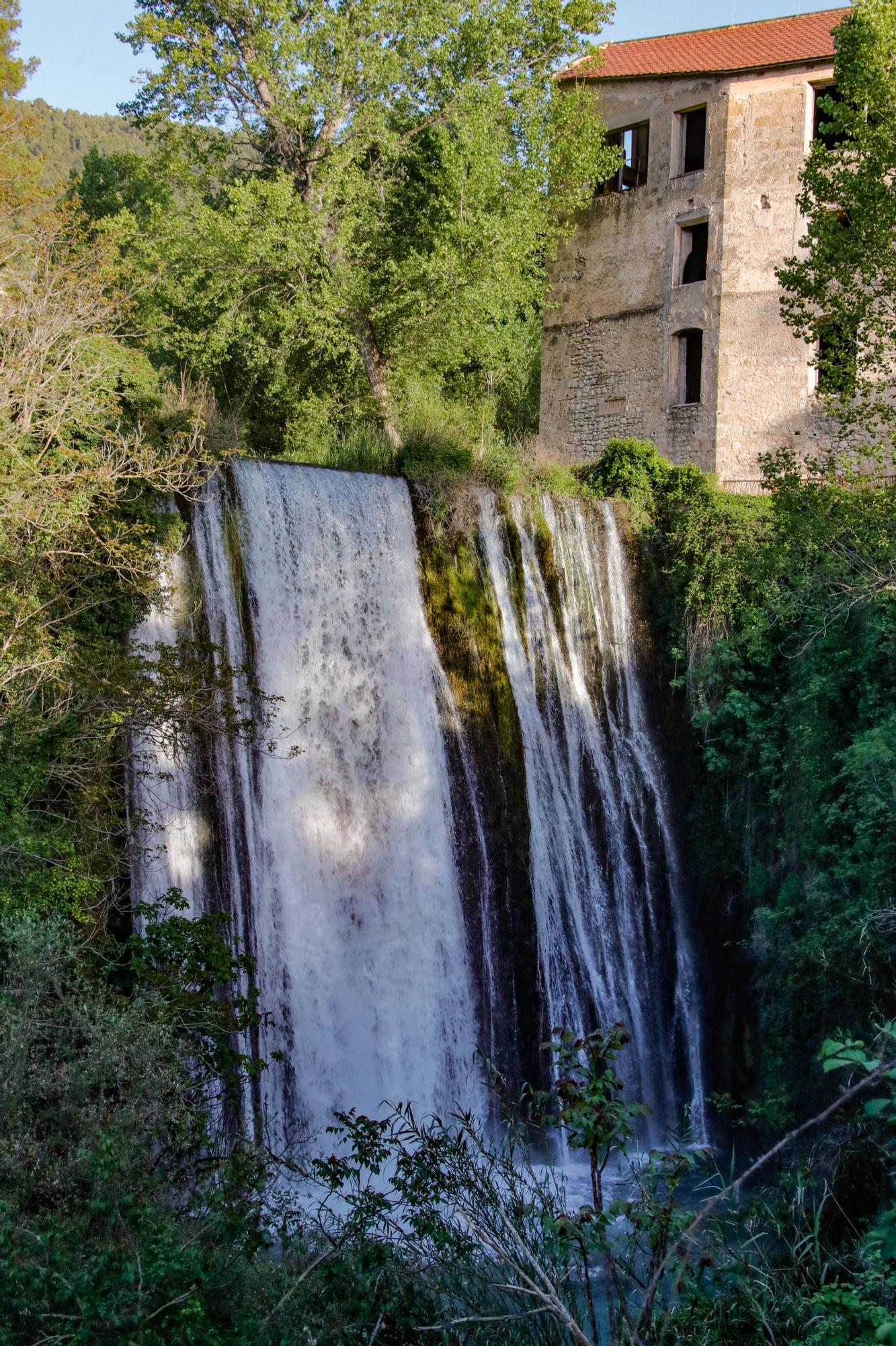 Los parajes de Alcoy se convierten en un reclamo turístico tras las lluvias de marzo y abril