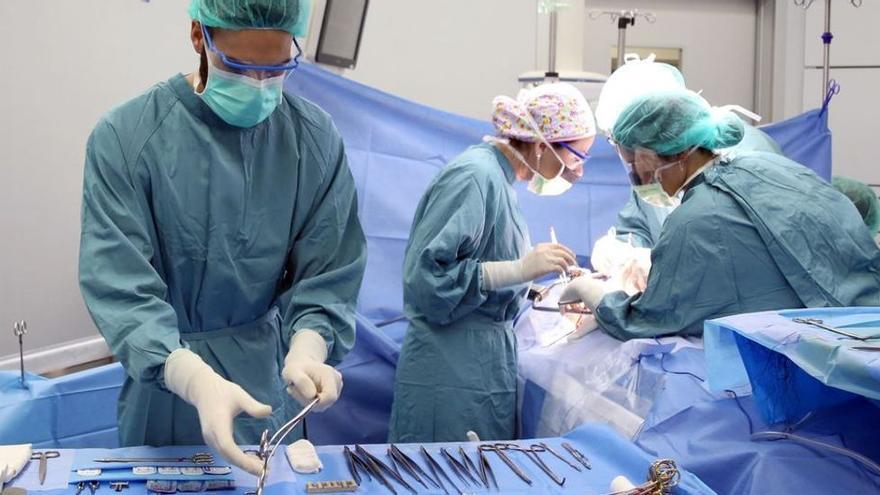 Los donantes de órganos y tejidos tendrán derecho a una baja laboral