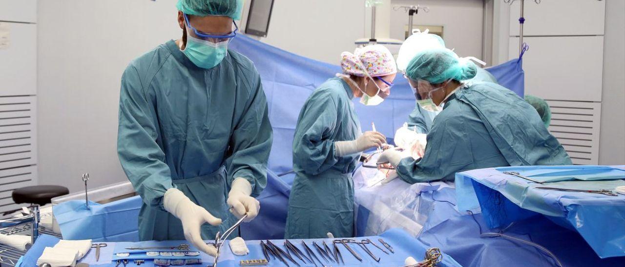 Varios cirujanos en una operación por un trasplante, en una imagen de archivo.
