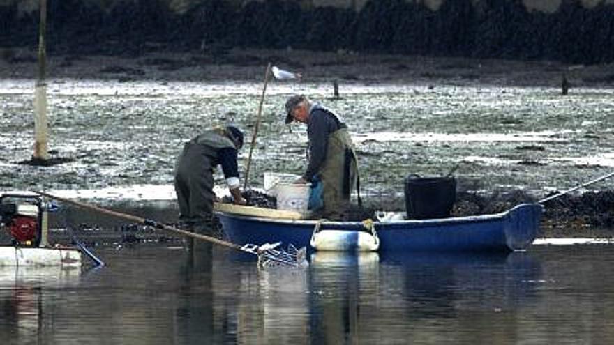 Dos furtivos faenan en la ría de O Burgo.