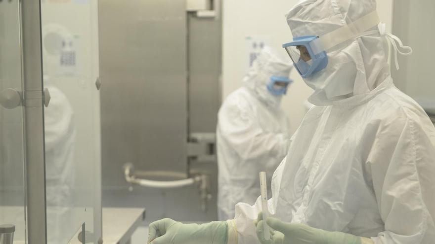 Un consorcio internacional acelera el desarrollo de la vacuna gallega de Zendal frente a la tuberculosis