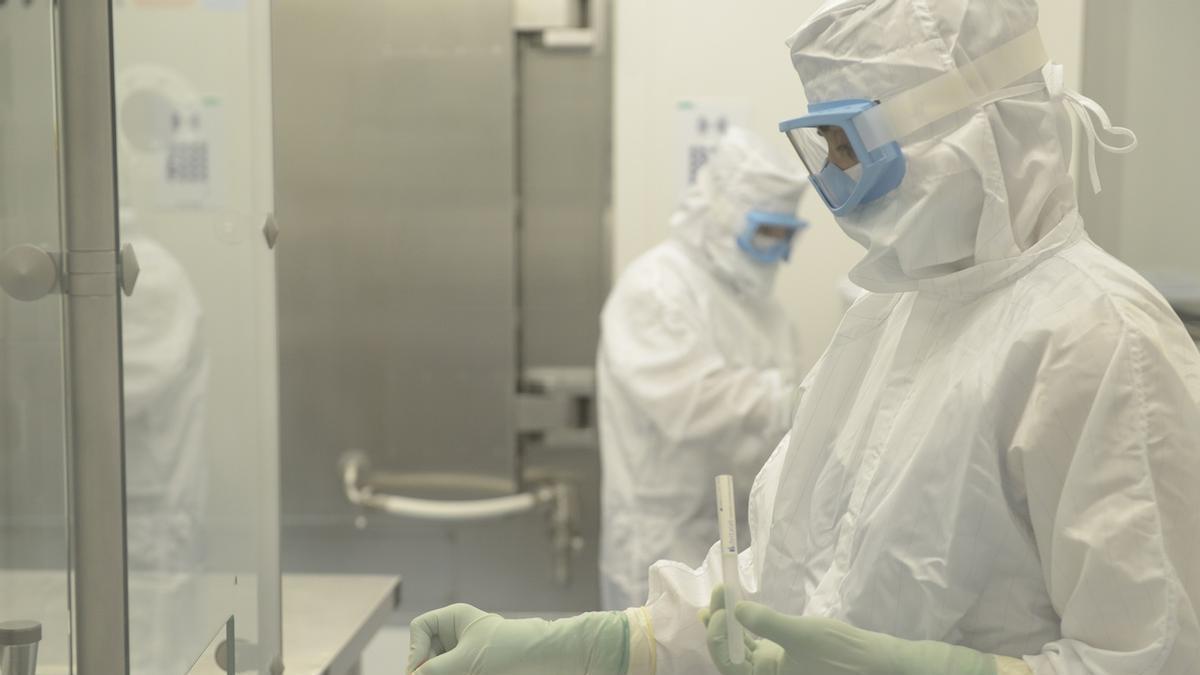 Científicos, trabajando en la vacuna antituberculosis de Biofabri.