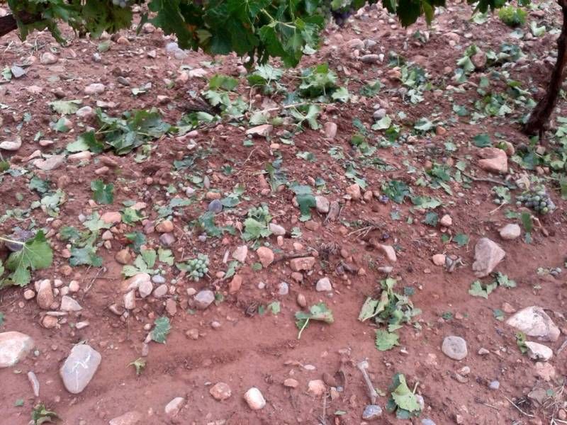 Fotogalería: Los destrozos materiales a causa del temporal