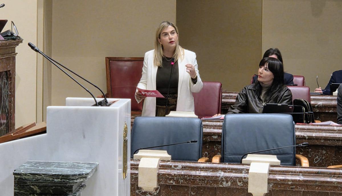 Carmina Fernández, este jueves en la Asamblea.