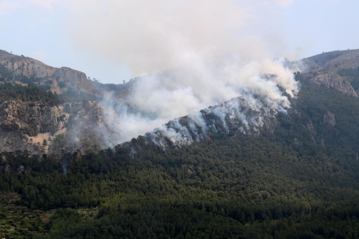 Imatges de l'incendi de Paüls