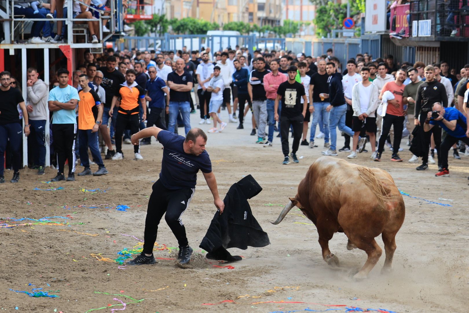 Fotos de la tarde taurina del jueves de las fiestas de Sant Pasqual en Vila-real