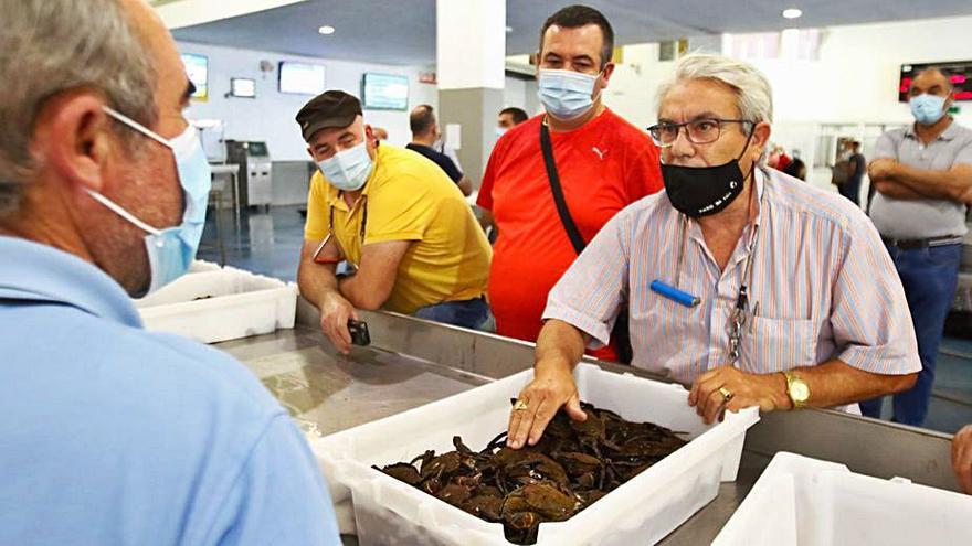 Subasta de nécora en la lonja de O Grove.   | //  IÑAKI ABELLA