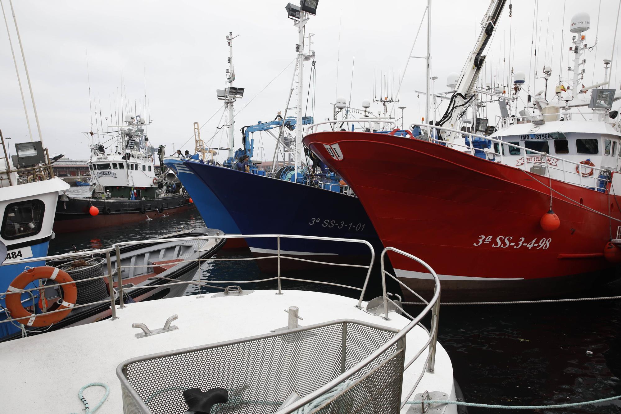 En imágenes: Gran descarga de bocarte en el puerto de Gijón