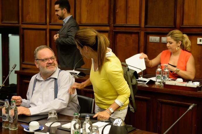 Las Palmas de Gran Canaria. Pleno Cabildo de Gran Canaria  | 29/05/2019 | Fotógrafo: José Carlos Guerra