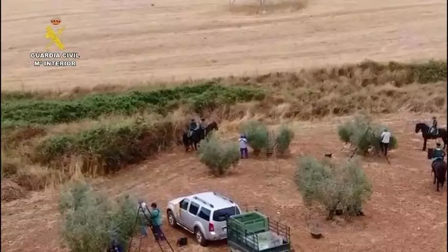 Vídeo | La Guardia Civil vigila el campo extremeño a caballo