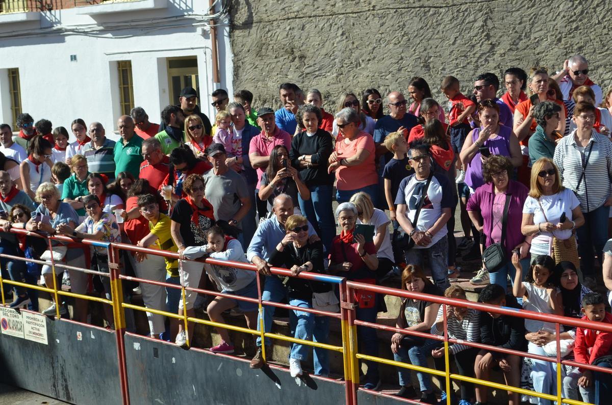 La carrera del Torito del Alba "Ganadora", de Benavente, en imágenes