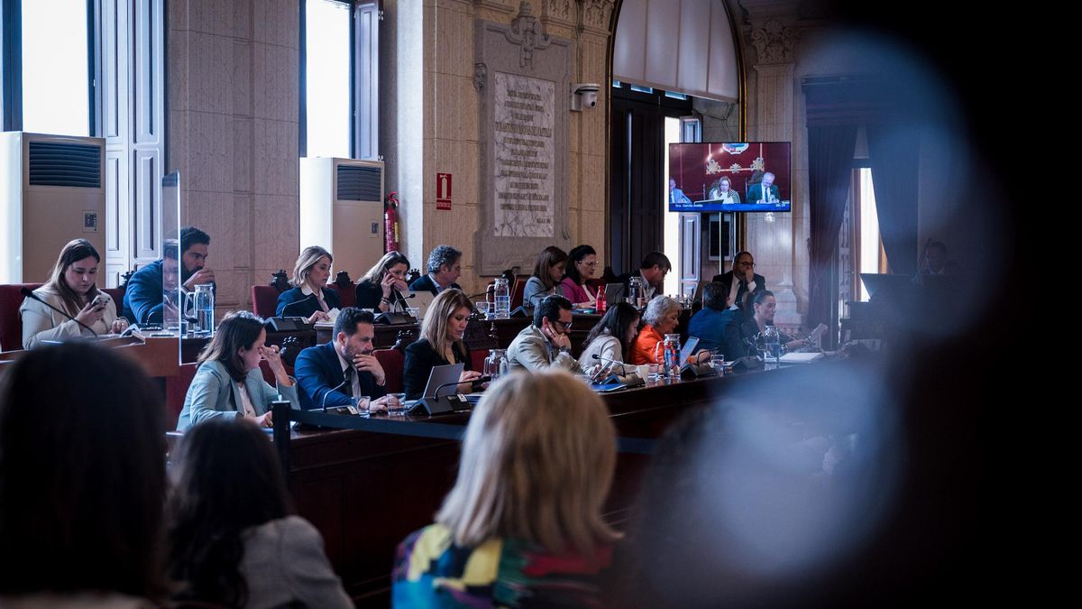 Imagen del pleno ordinario de abril del Ayuntamiento de Málaga.