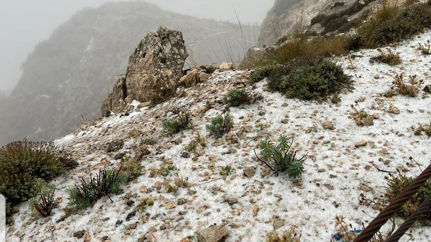 Caen los primeros copos de nieve en la Serra de Tramuntana