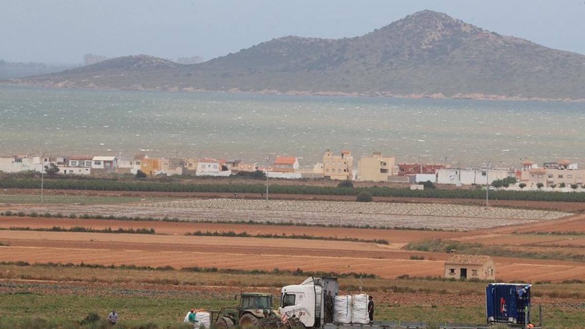 Tierras de cultivo próximas al Mar Menor. /  J. CABALLERO