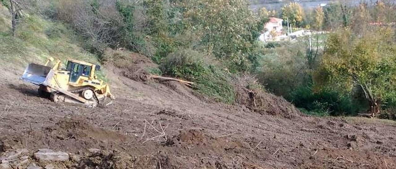 Una máquina trabaja en los terrenos donde se ubicarán los viveros.