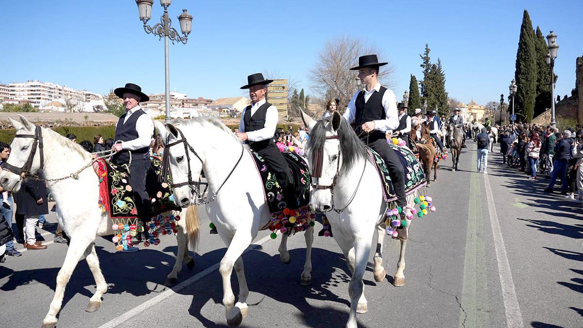 Los caballos reinan en Córdoba el 28F