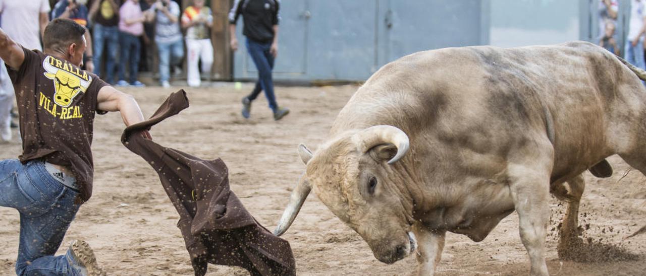 La Vall d&#039;Uixó arranca su semana taurina