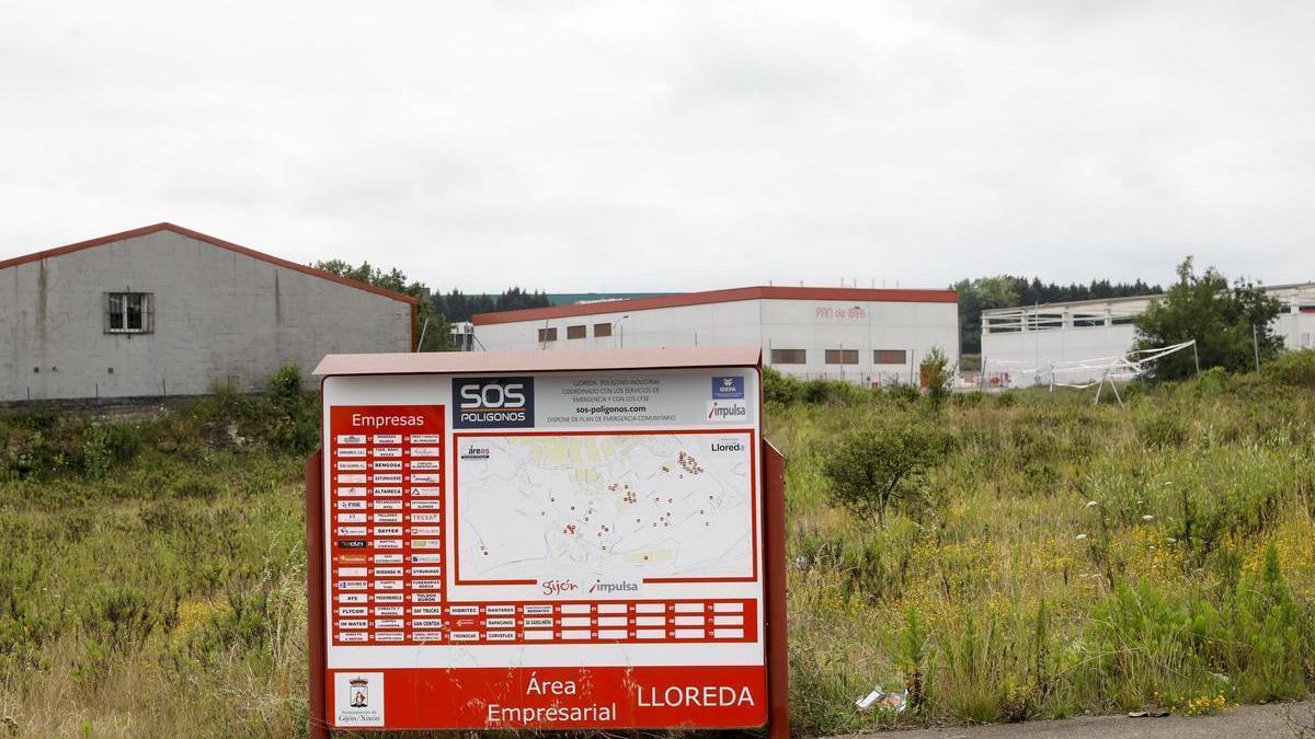 Terrenos del polígono de Lloreda.