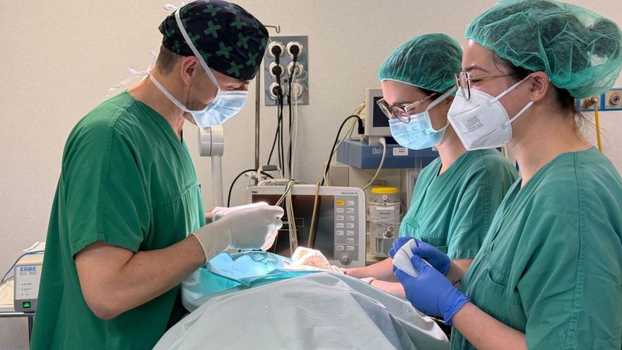 Sanitarios durante una intervención en el quirófano de Dermatología.