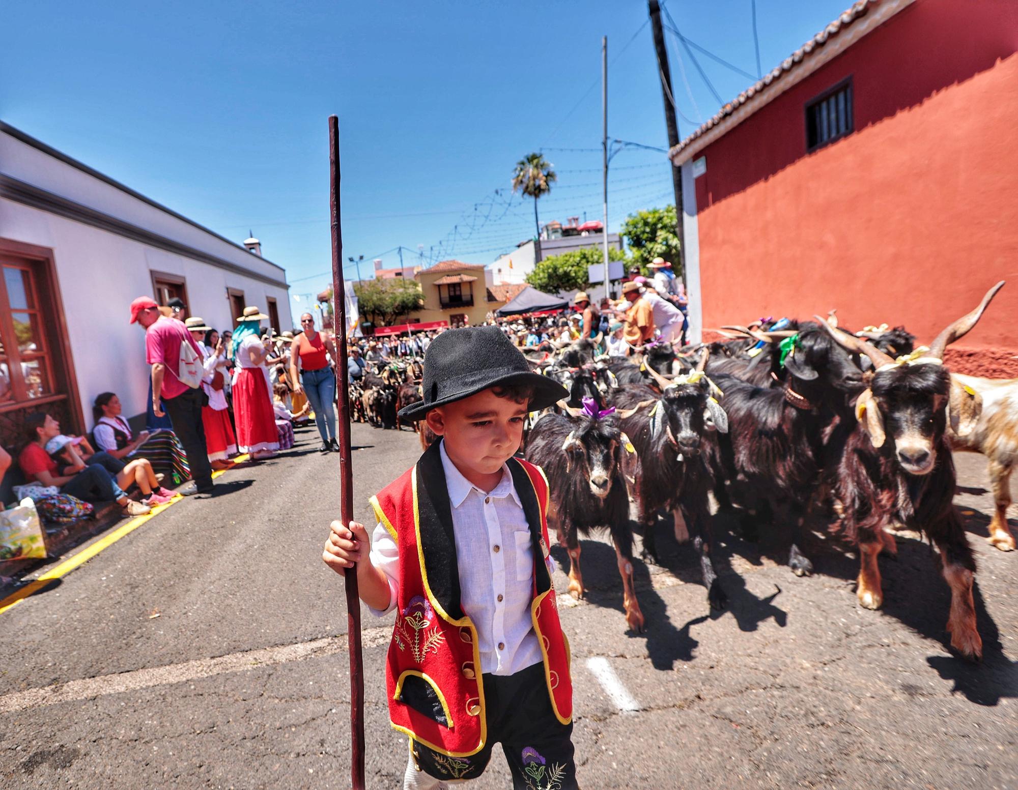 Romería de Tegueste