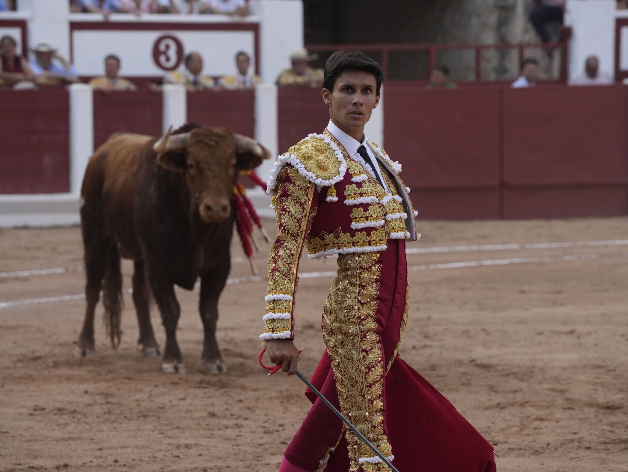 Las mejores imágenes de la feria taurina de San Pedro en Zamora.