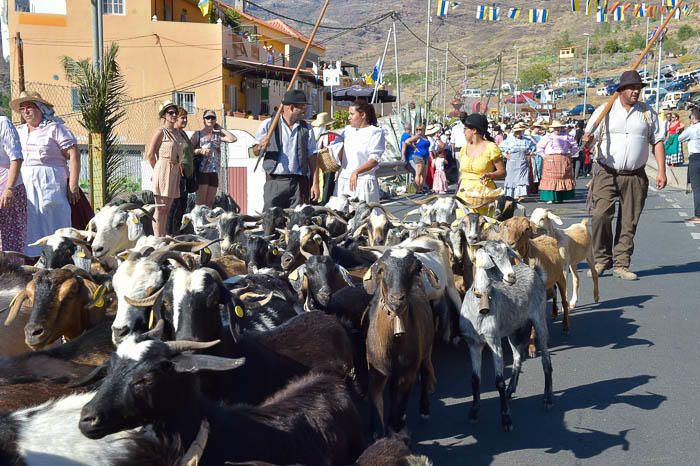 Romería de San Antonio el Chico