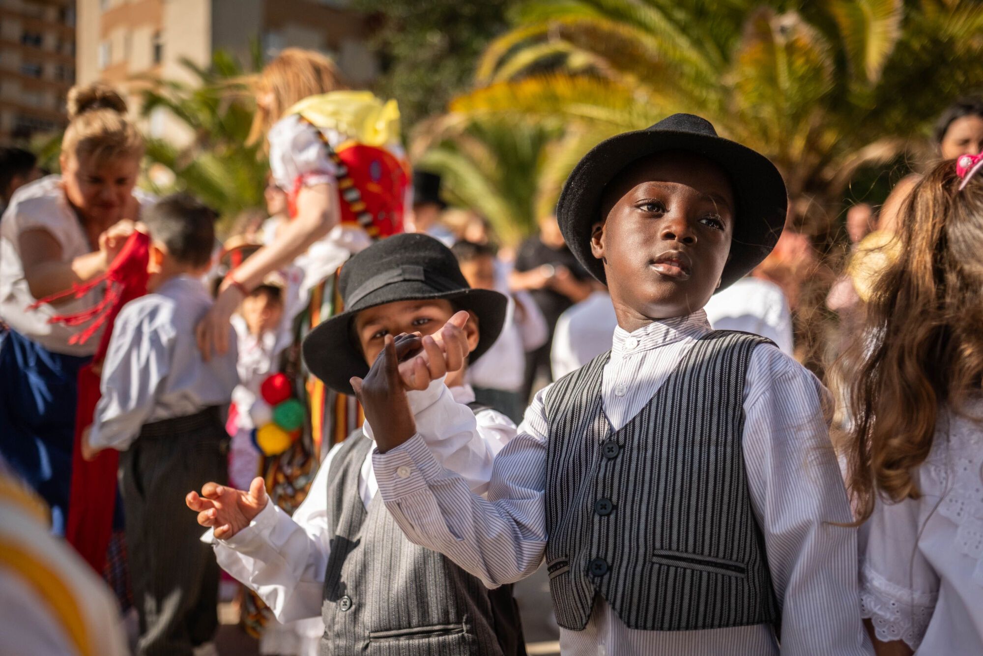 Paseo Romero del CEIP Los Dragos en Santa Cruz de Tenerife.
