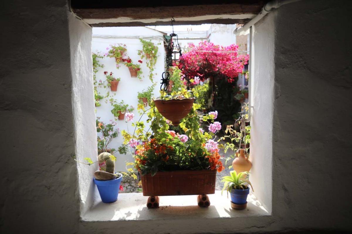 Los Patios de Córdoba. Santa Marina