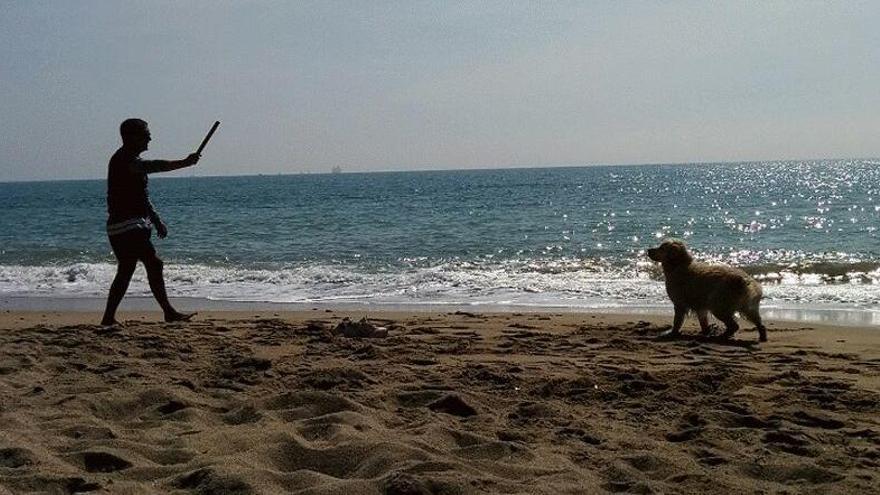 Un hombre juega con un perro en una playa.