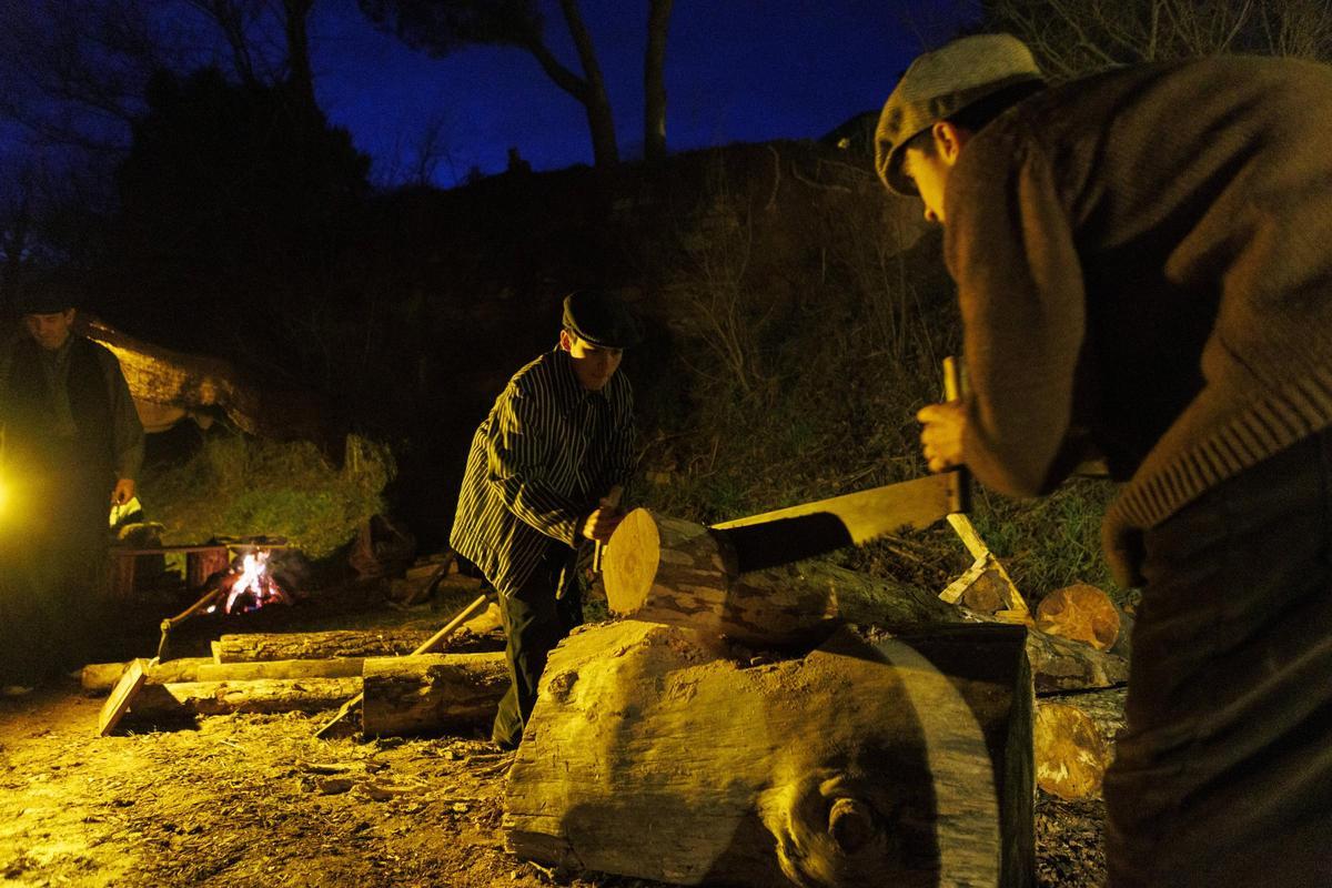 Nit Viva de Fonollosa