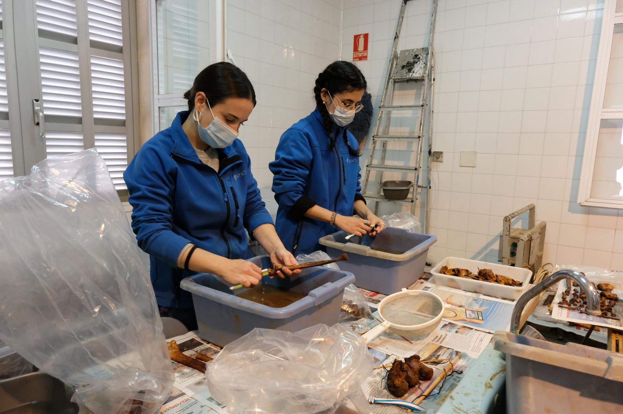 Son Coletes recupera los restos de 54 víctimas  en siete fosas