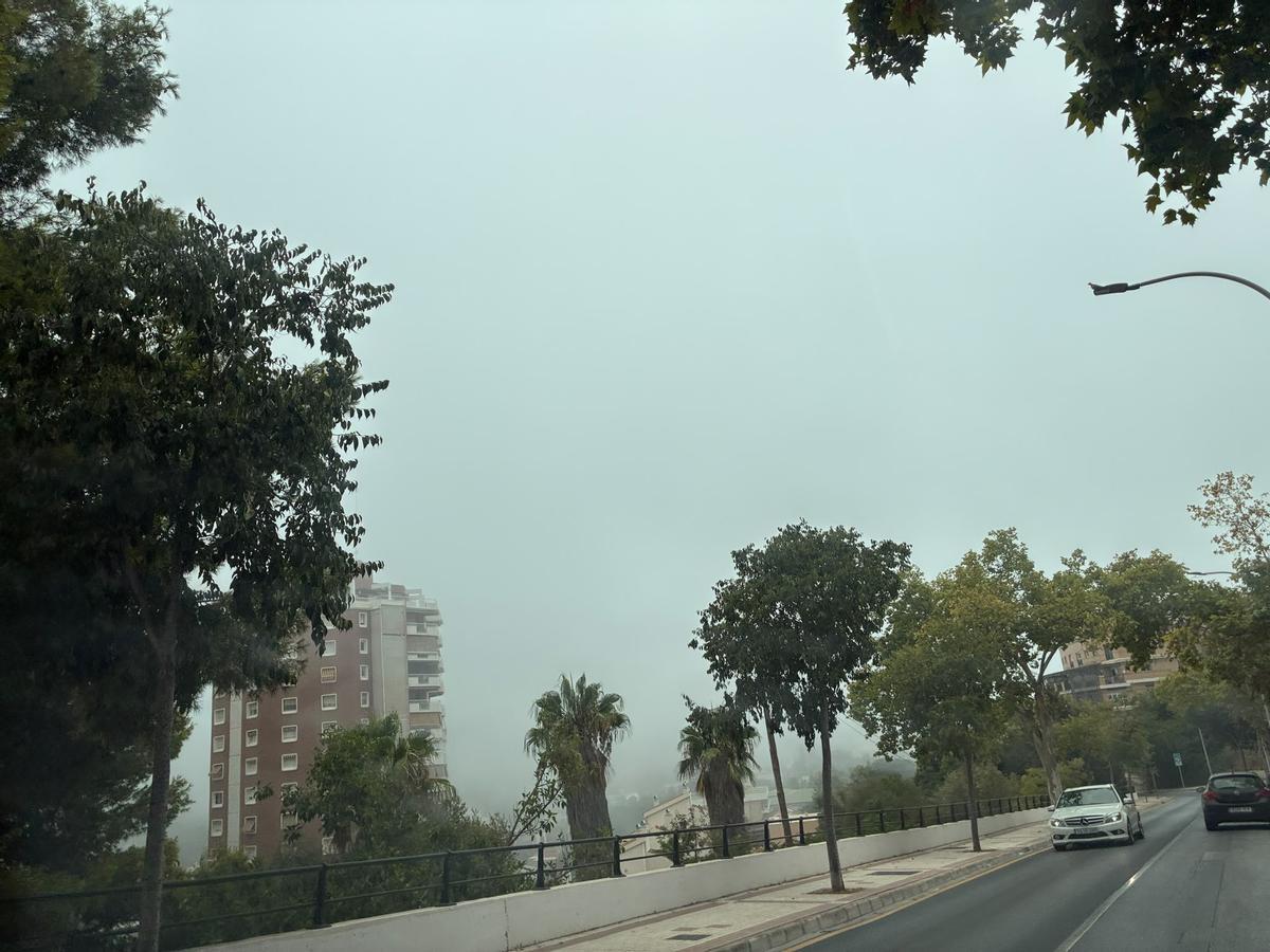 La Taró ha cubierto Málaga este sábado