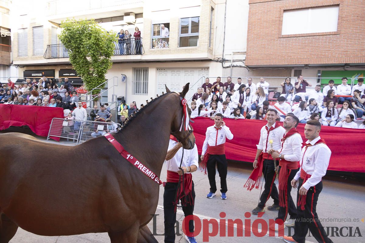 Fiestas de Caravaca | Desfile día 4 de mayo (Bando de los Caballos del Vino)