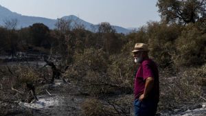 "Aquesta ferida ja és per a tota la vida"