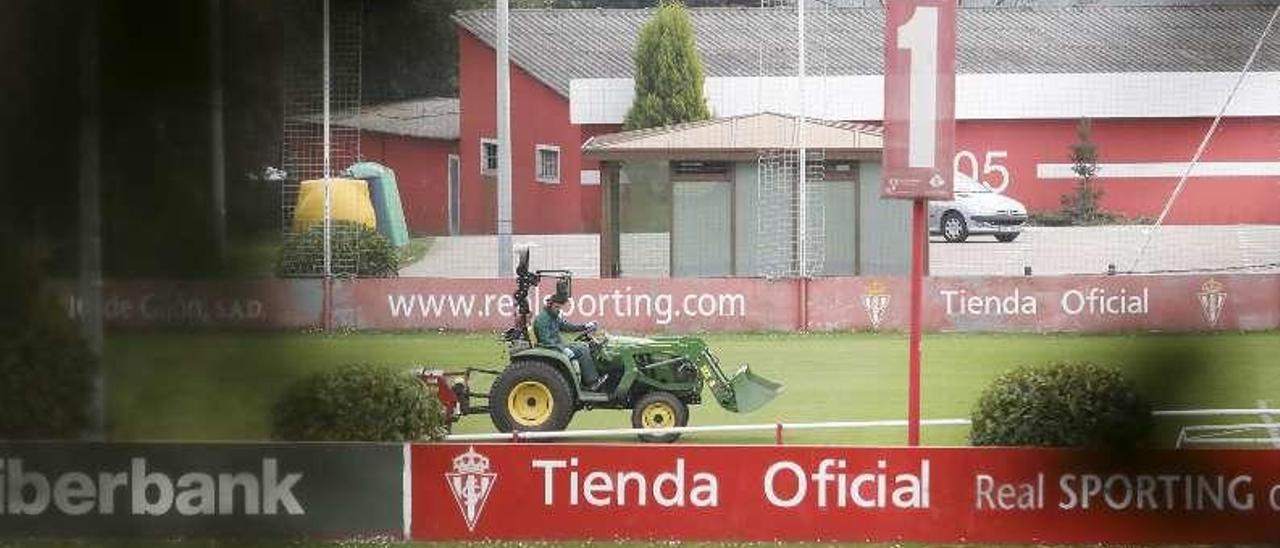 Labores de mantenimiento del césped en Mareo.