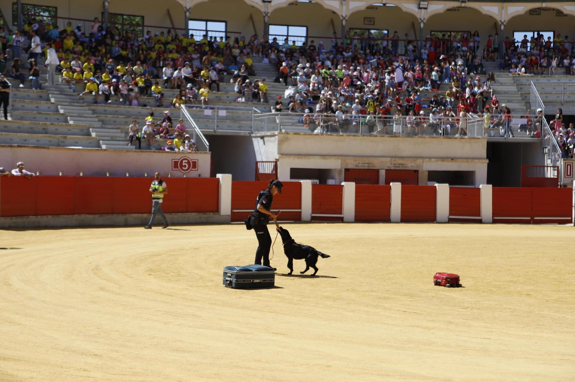 Ehibición policial en Lorca por su 200 aniversario