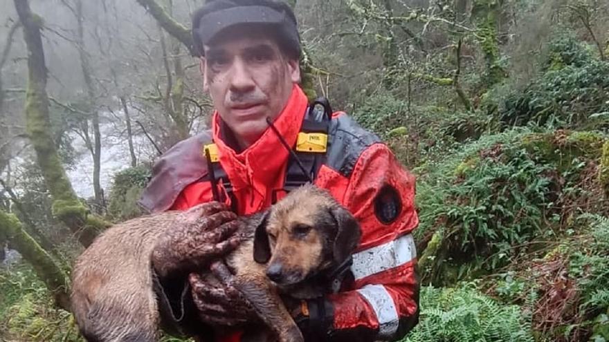 Un efectivo de Emerxencias Lalín sostiene a Luki, después de reescatarlo