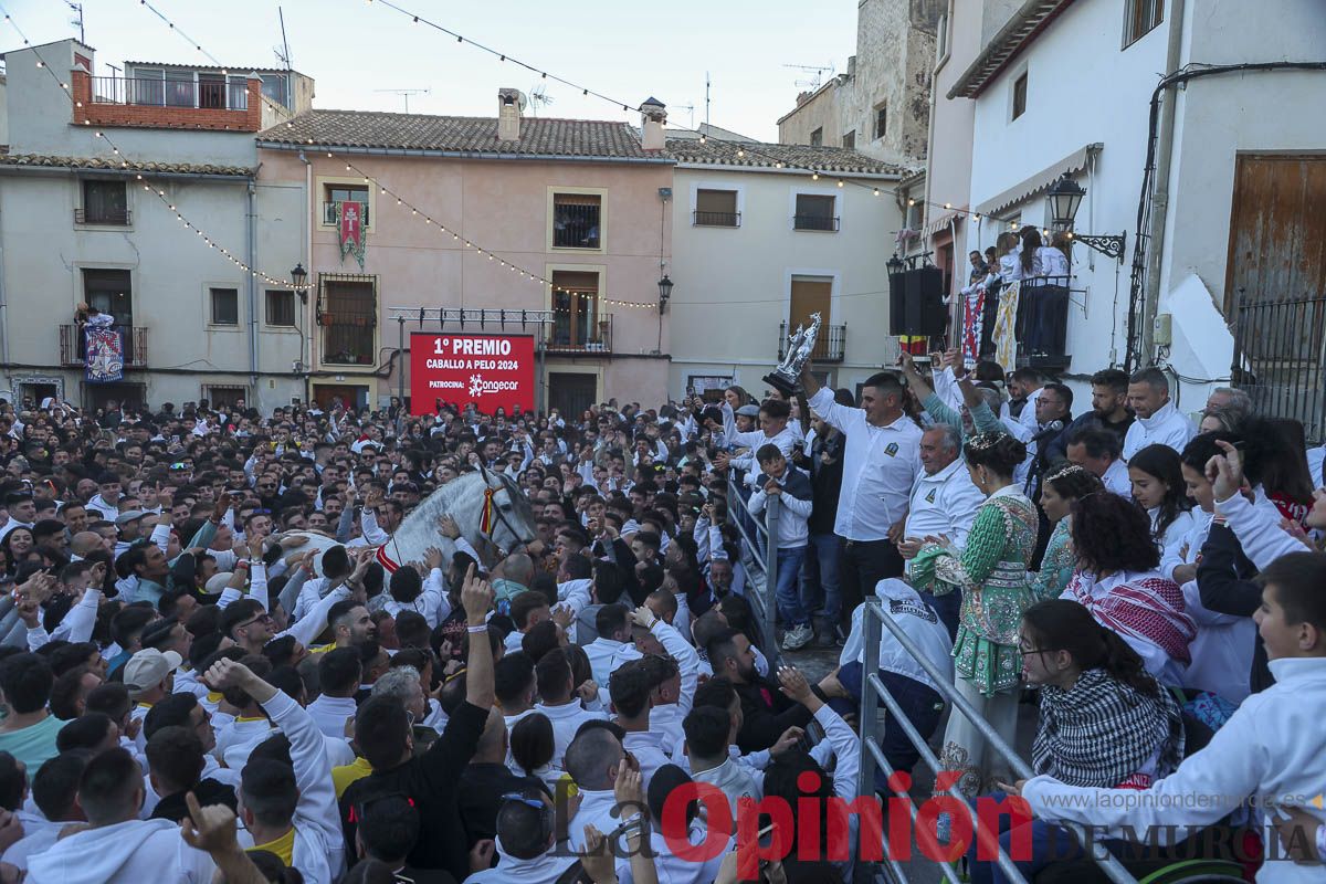 Entrega de premios del concurso de 'Caballo a pelo' en Caravaca