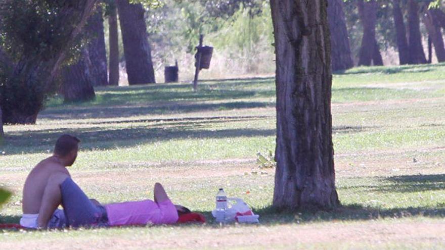 Varios jóvenes se protegen del calor a la sombra