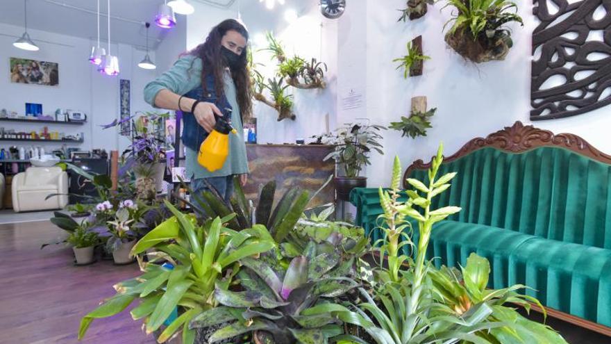 Jardín botánico dentro de la peluquería Xerach