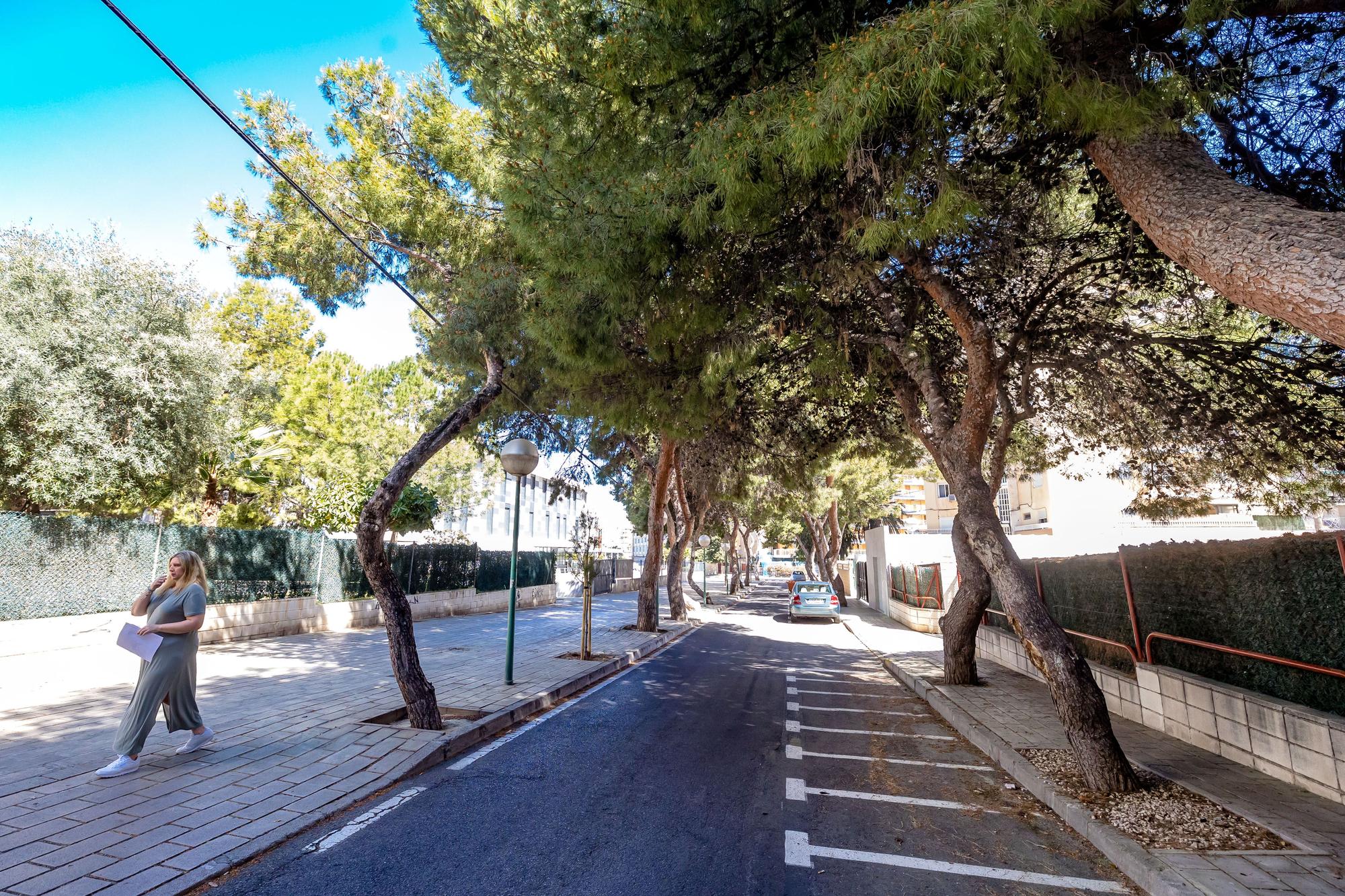 Un bosque invade una calle de la Playa de San Juan