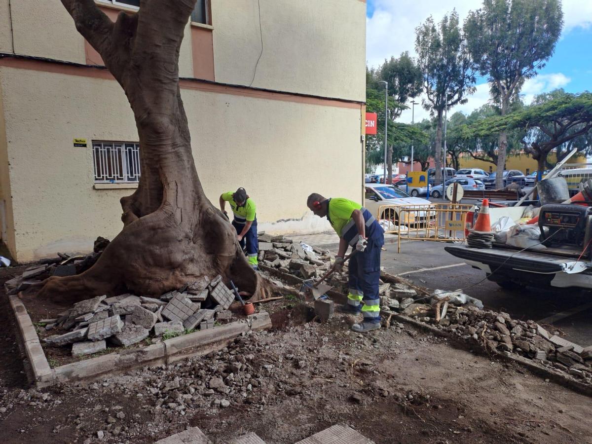 Estas obras suponen importantes mejoras tanto para los peatones como para los vehículos que transitan la zona.