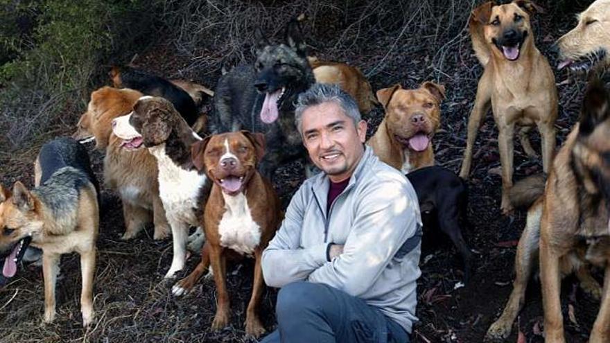 César Millán, conductor de &#039;El encantador de perros&#039;. / la opinión