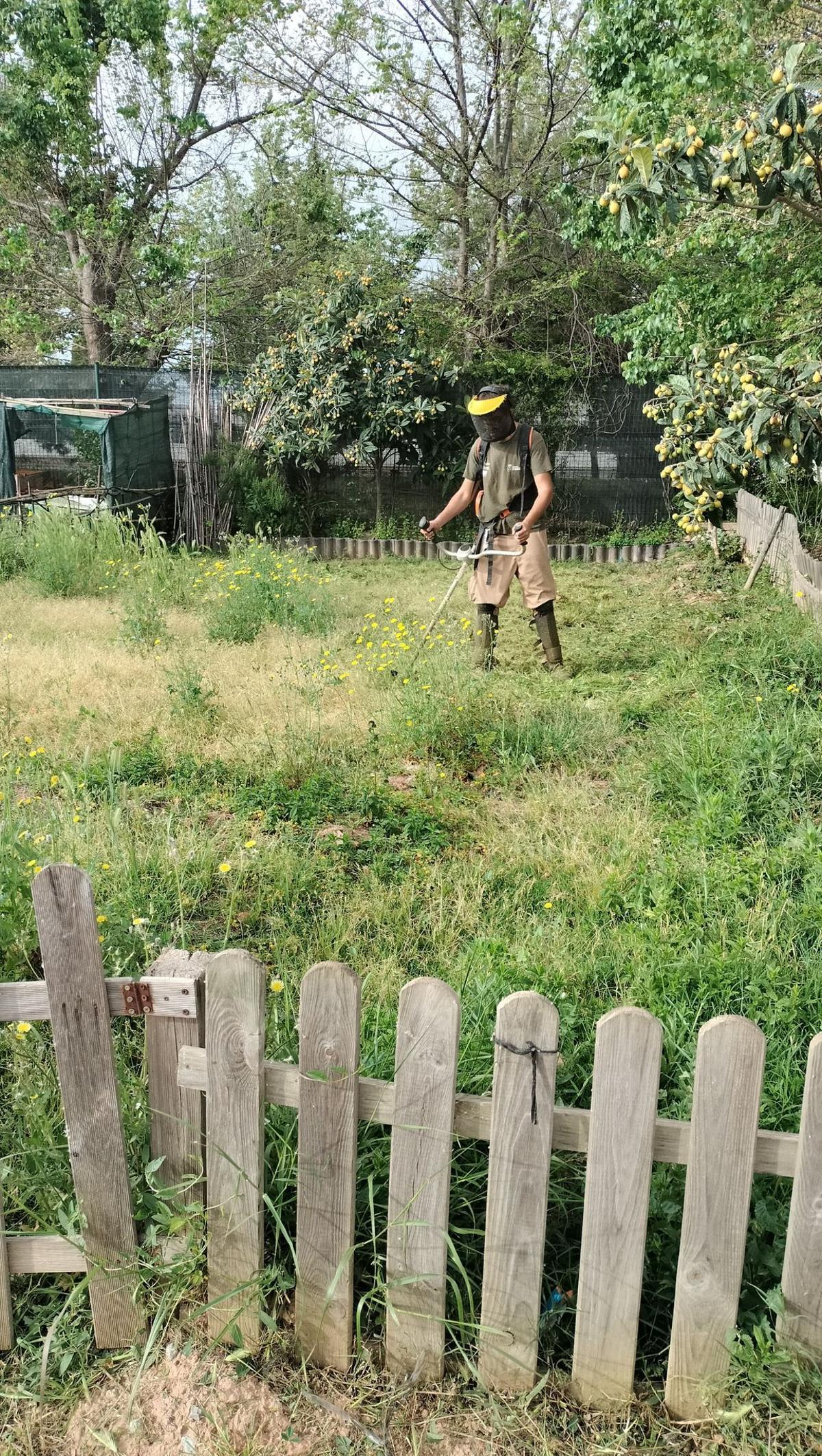 Trabajos de poda y desbroce en los huertos de ocio.