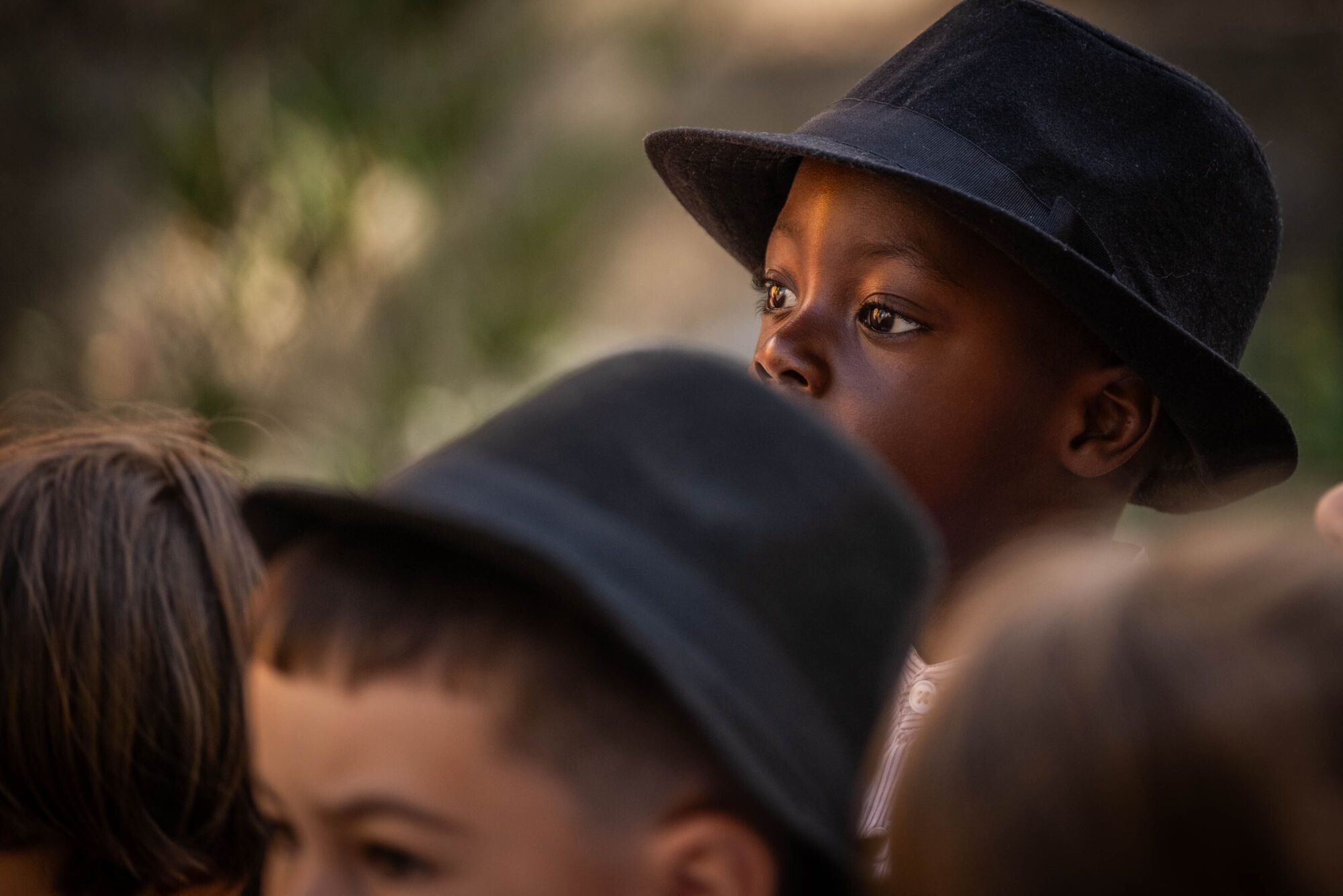 Paseo Romero del CEIP Los Dragos en Santa Cruz de Tenerife.