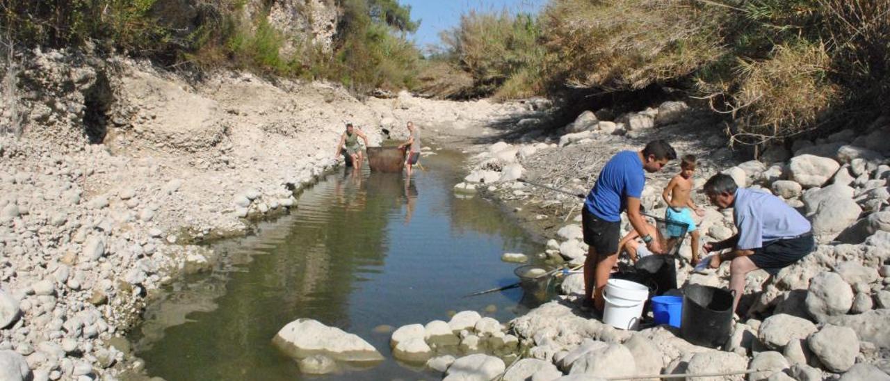 Un estudio revela que la deficiente gestión hídrica agravó la peor sequía del Serpis