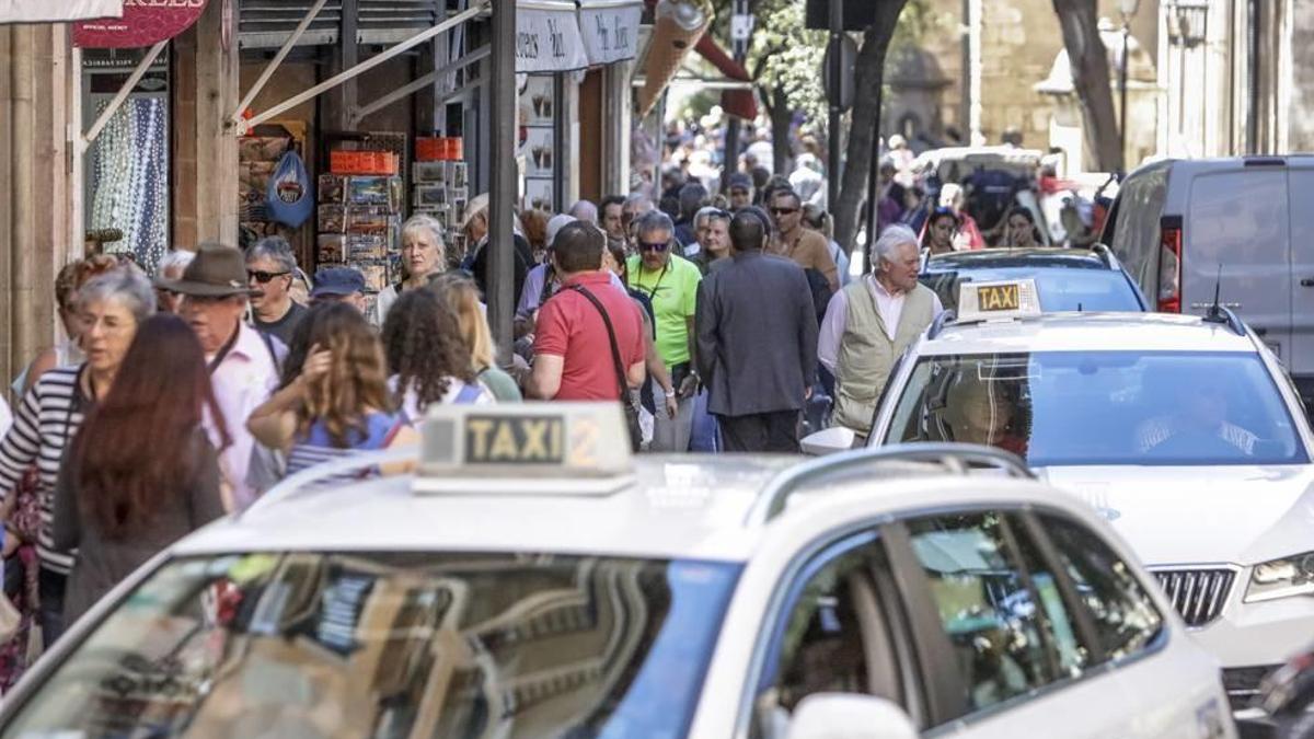 Turistas en Palma.