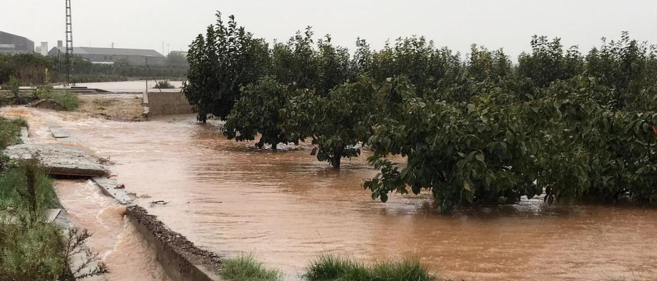 Un campo inundado por la lluvia en Benifaió en una imagen del sábado. | LEVANTE-EMV